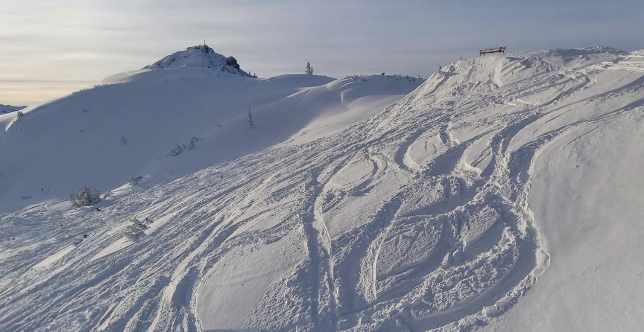 Hotel Garni Sonnhof Flachau Zewnętrze zdjęcie