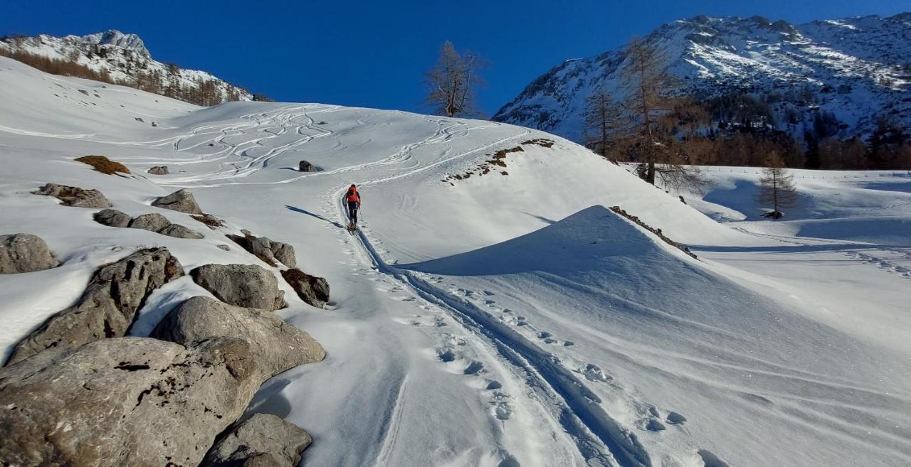 Hotel Garni Sonnhof Flachau Zewnętrze zdjęcie