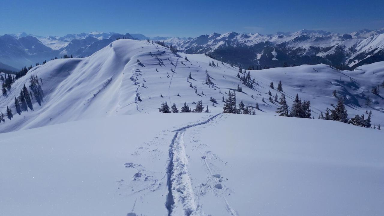 Hotel Garni Sonnhof Flachau Zewnętrze zdjęcie