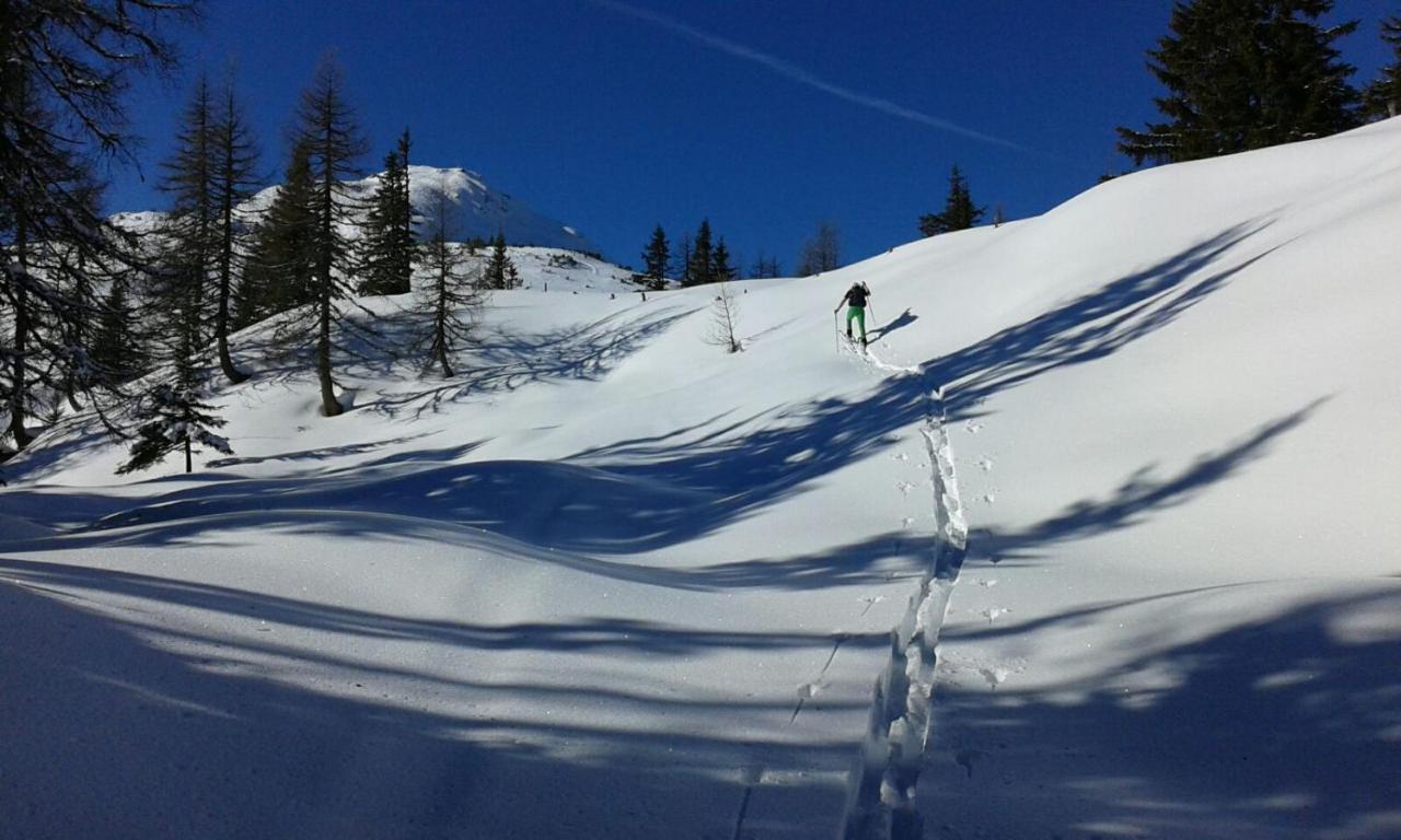 Hotel Garni Sonnhof Flachau Zewnętrze zdjęcie