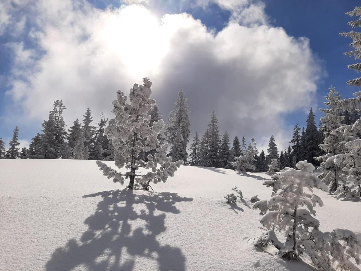 Hotel Garni Sonnhof Flachau Zewnętrze zdjęcie